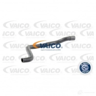 Шланг радиатора VAICO V20-0158 4046001191473 HZV SA 1556998