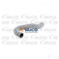 Шланг радиатора VAICO 1551035 V10-0066 4046001142765 HSI 6B