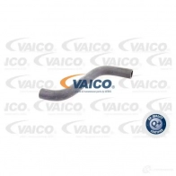Шланг радиатора VAICO C O2BNGB 1565190 V30-1617 4046001528743