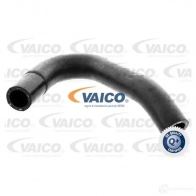 Шланг радиатора VAICO Opel Astra (H) 3 Универсал V40-2000 4046001818332 KQ CBQ