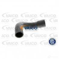 Шланг радиатора VAICO V20-0157 4046001191466 1556997 RQH CY