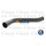 Шланг радиатора VAICO 1217340299 EQ4N7 S5 V30-0729 4046001282751 - Изображение 2