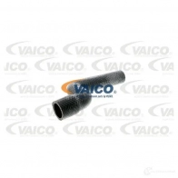 Шланг радиатора VAICO V20-1706 1558315 C VFV46 4046001607325