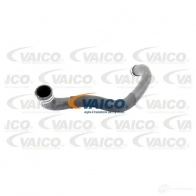 Шланг радиатора VAICO V30-1915 QT 59U5 1565532 4046001610271