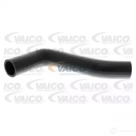 Патрубок радиатора, шланг VAICO v103914 Audi A3 (8L) 1 1996 – 2003 RY LRHE