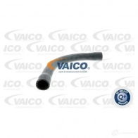Шланг радиатора VAICO V20-0147 1556989 4046001191367 DC YZ1