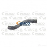 Шланг радиатора VAICO 4046001606137 1569908 V40-1338 HAH Q8