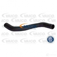 Шланг радиатора VAICO 4046001819278 V25-1216 Ford Transit Connect EI6 W9S5