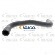 Шланг радиатора VAICO V40-1160 Renault Master 2 (FD, JD, ED) 1997 – 2010 4046001846953 PAWU C