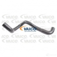 Шланг радиатора VAICO 0OYCU8 0 4046001846717 Ford Focus 1 Седан 1.4 16V 75 л.с. 1999 – 2004 V25-1790