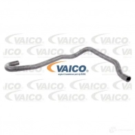 Шланг радиатора VAICO 4046001846014 V40-1156 AYAWFT P Renault Master 2 (FD, JD, ED) 1997 – 2010