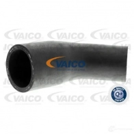 Шланг радиатора VAICO 1564494 V30-0702 P 1NHDN 4046001282478