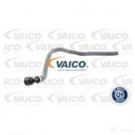 Шланг радиатора VAICO 1558382 O CWV6 V20-1773 4046001606519