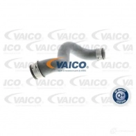 Шланг радиатора VAICO CW3P 9 V30-2225 1565772 4046001634222