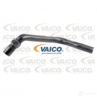 Шланг радиатора VAICO 4046001847035 Q PPYHBN V40-1169 Renault Master 2 (FD, JD, ED) 1997 – 2010