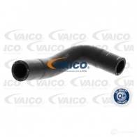 Патрубок радиатора, шланг VAICO 1424859459 CM CGK1K 4046001871078 v104860