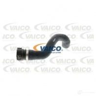 Шланг радиатора VAICO Z9 8CXCN V20-1774 4046001607813 1558383