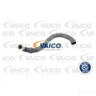 Шланг радиатора VAICO V30-1661 1565232 4046001557910 YBEWT F