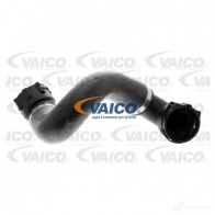 Шланг радиатора VAICO 4046001606564 V20-1780 7O WCICQ 1558389