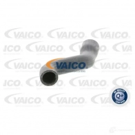 Патрубок радиатора, шланг VAICO 30 FJIJC v300248 4046001142567 1217338113