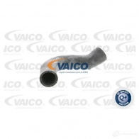 Патрубок радиатора, шланг VAICO MRV 17 v300730 1564511 4046001282768