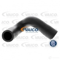 Шланг радиатора VAICO 1557961 V20-1347 4046001513824 GPR AG