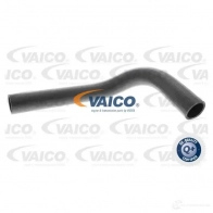 Патрубок радиатора, шланг VAICO 1217472507 v950021 4046001260650 PUAU 9