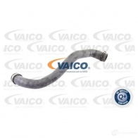 Шланг радиатора VAICO 1565530 6ION OC V30-1913 4046001610257