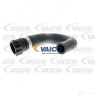 Шланг радиатора VAICO V20-1751 ER 61R 1558360 4046001607783