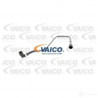 Шланг радиатора VAICO V20-0889 4046001432057 1557530 4VNKZ 6Z