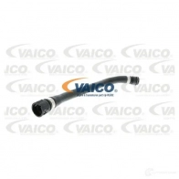 Шланг радиатора VAICO V20-1272 BQQ6 P3 4046001513398 1557886
