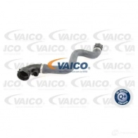 Шланг радиатора VAICO V20-0864 1557505 4046001431746 I 24Z61