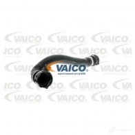 Шланг радиатора VAICO V20-1688 W CN5I27 4046001607400 1558297