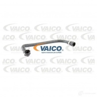 Шланг радиатора VAICO XHM KNC1 V20-1337 4046001514425 1557951