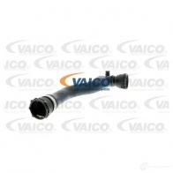 Шланг радиатора VAICO V20-1462 1558075 ZT 20U 4046001572289
