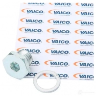 Сливная пробка VAICO BEB TZ 4046001495656 1557829 V20-1207 - Изображение 2