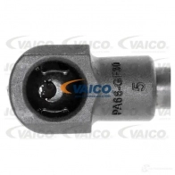 Амортизатор багажника VAICO V24-0045 1561053 4046001435003 M MN07 - Изображение 3