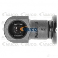 Амортизатор багажника VAICO 1560420 4046001436338 CUSJ IL V22-0120 - Изображение 2