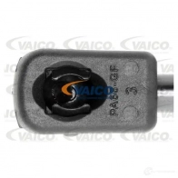 Амортизатор багажника VAICO DP420 7S V24-0499 1561501 4046001638893 - Изображение 2