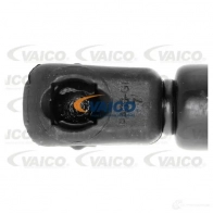 Амортизатор багажника VAICO YV 49T 1562352 V25-0230 4046001435928 - Изображение 2