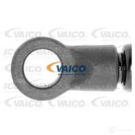 Амортизатор багажника VAICO 36GIMH 2 V25-0520 1562644 4046001537691 - Изображение 2