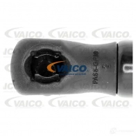 Амортизатор багажника VAICO 1572168 V46-0405 4046001487644 C1Z G01 - Изображение 3