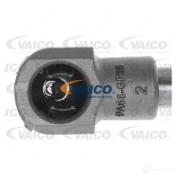 Амортизатор багажника VAICO LGX9 99D 1552539 4046001489501 V10-1983 - Изображение 2