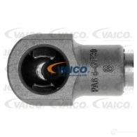Амортизатор багажника VAICO GC1B O5 V24-0592 4046001670923 1561578 - Изображение 2