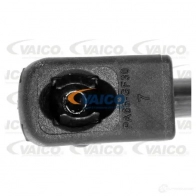Амортизатор багажника VAICO 4046001638824 1553865 UQ UX1J V10-3237 - Изображение 3