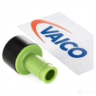 Маслоотделитель VAICO 1553722 V10-3103 4046001627521 K OLG8 - Изображение 2