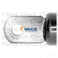 Водяной насос, помпа VAICO 2K YJNVE 4046001782435 v5250010 1573840 - Изображение 2