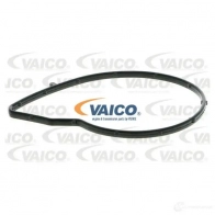 Водяной насос, помпа VAICO T F7XN 1560946 4046001543371 V22-50021 - Изображение 2