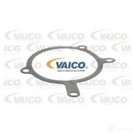 Водяной насос, помпа VAICO XYV0 T V25-50020 1563443 4046001453526 - Изображение 2