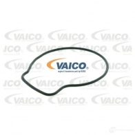 Водяной насос, помпа VAICO 4046001474637 6 147J V26-50001 1564036 - Изображение 2